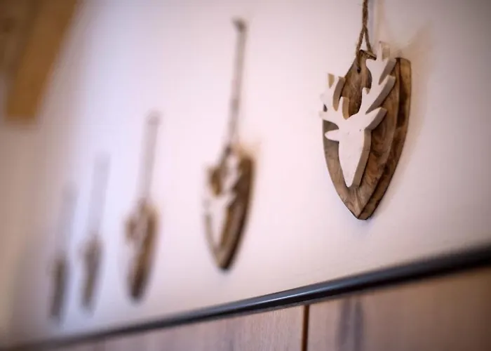 Nationalpark Hohe Warte 2